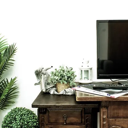 Trendy Apartamento
